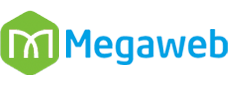 Công ty thiết kế website chuyên nghiệp hàng đầu Việt Nam Megaweb